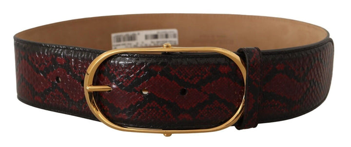 Dolce & Gabbana Elegant Red Python Leather Belt with Gold Buckle