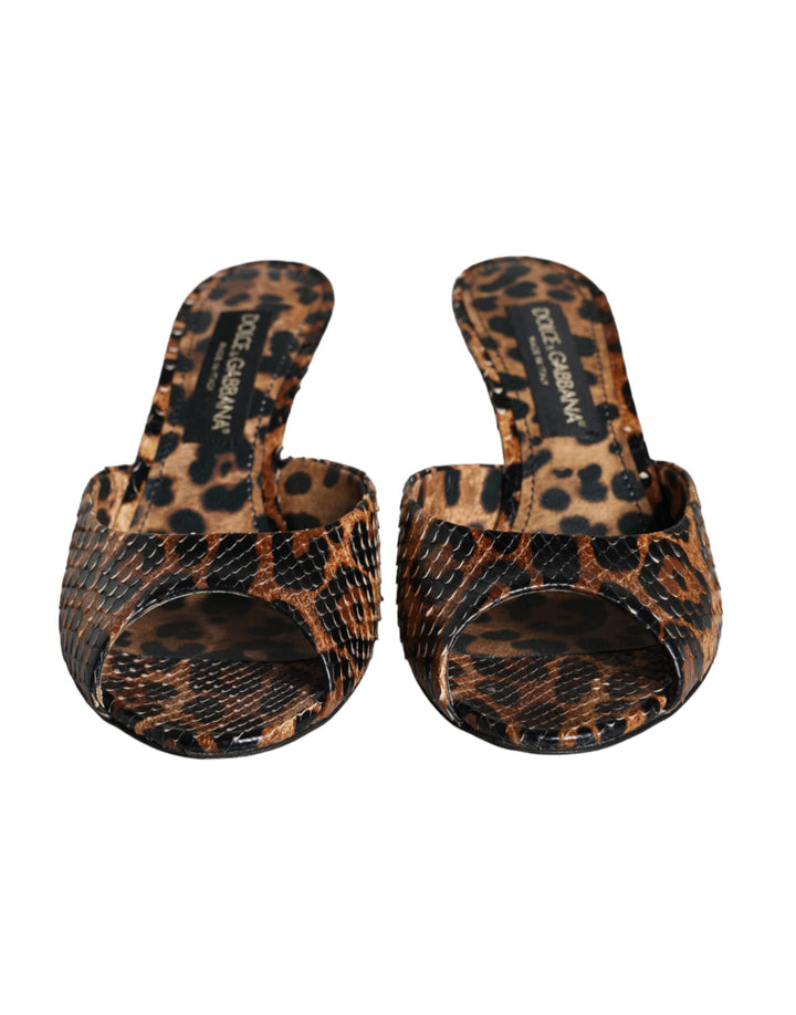 Dolce & Gabbana Brown Leopard Leather Slides Heels Sandals Shoes