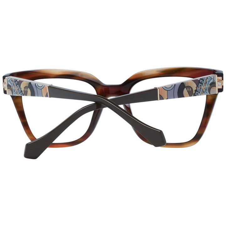 Ana Hickmann Brown Women Optical Frames