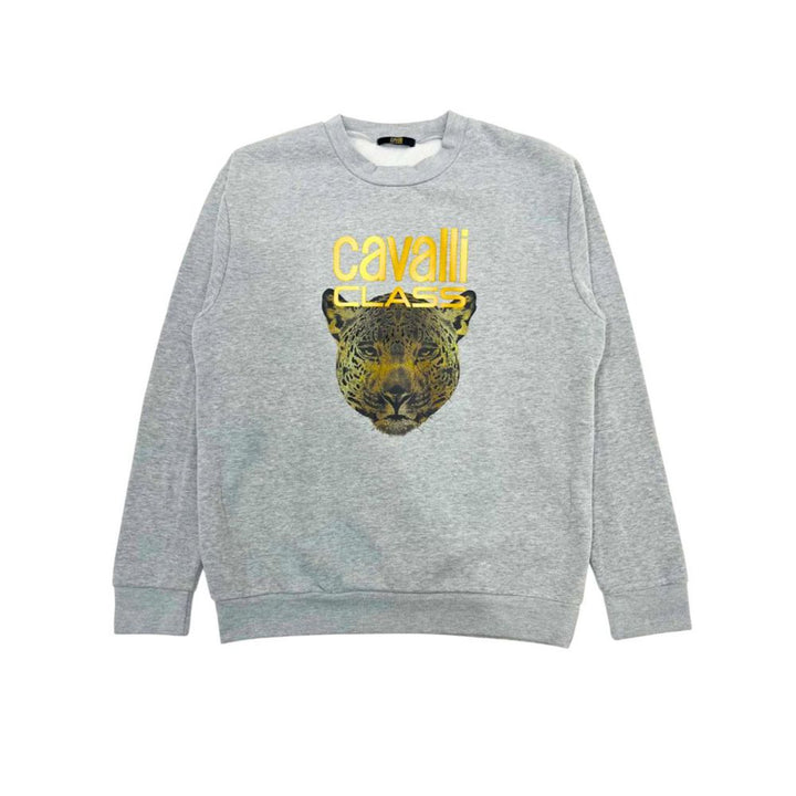 Cavalli Class Gray Polyester Women Sweater