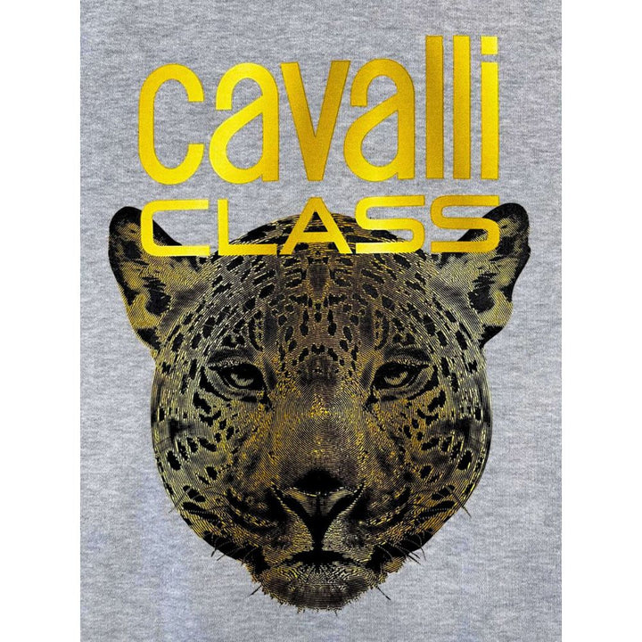 Cavalli Class Gray Polyester Women Sweater